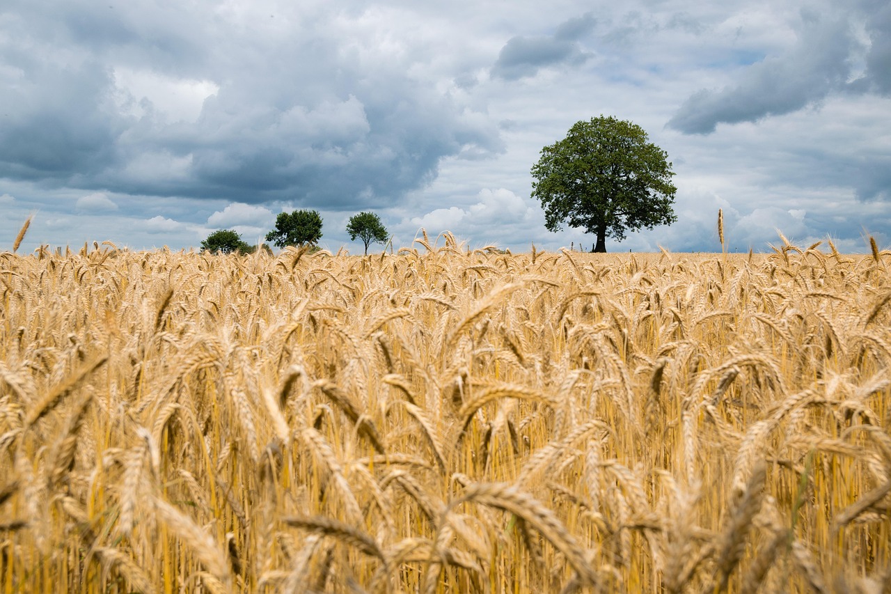 Sustainable Innovations Making a Difference